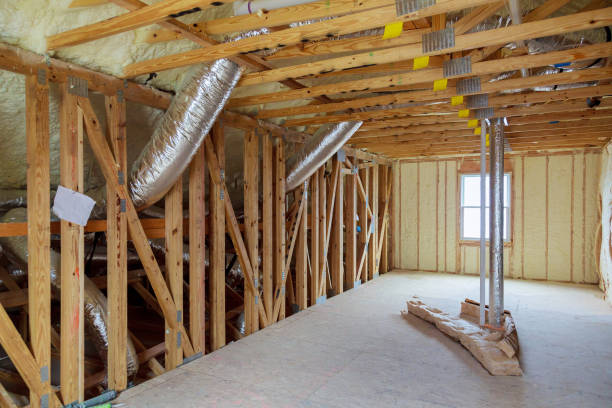 Best Insulation Removal Services  in Trenton, MO