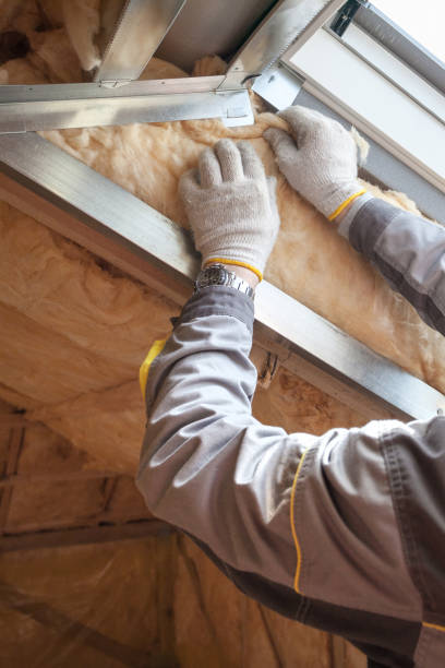 Attic Insulation Near Me in Trenton, MO