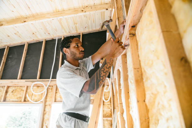 Best Insulation Inspection Services  in Trenton, MO