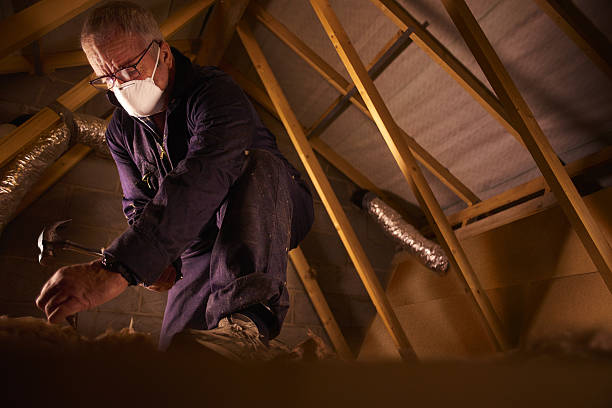Best Insulation Replacement Services  in Trenton, MO